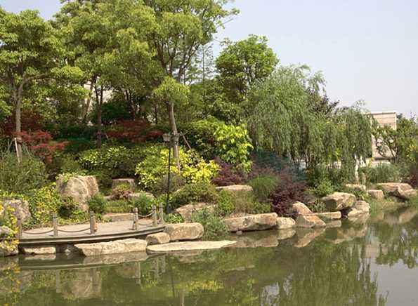 植物养护工程园林绿化施工管理