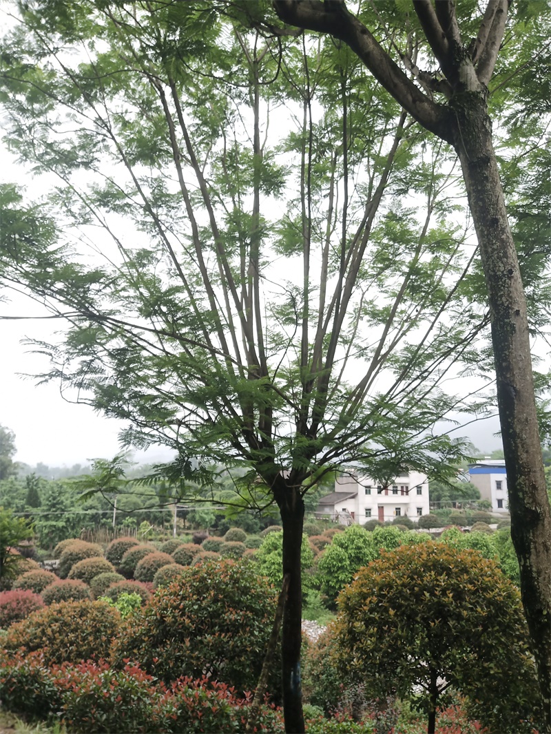 微信图片_20201019090116.jpg